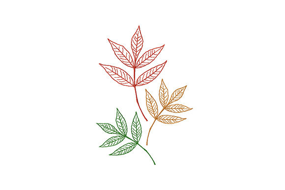 Colorful Autumn Leaves: A Designer's Review for Seasonal Success
